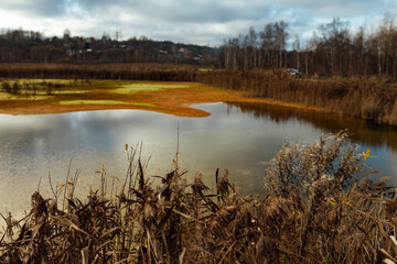 oil spill on the water. an environmental disaster due to the wreck of a tanker. leakage of toxic substances into the water. pollution by water body emissions