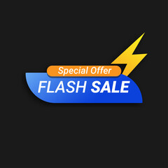 Trendy vector flash sale banner
