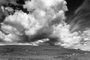 Landscape backgrounds