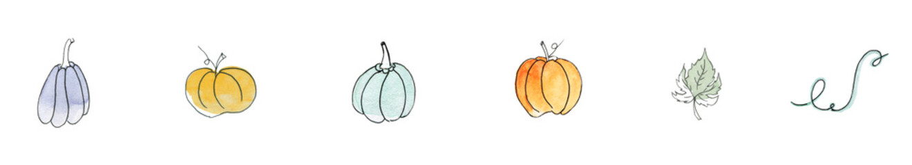 Set of pumpkins isolated on white. Watercolor drawing