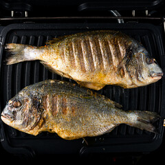 cooking process dorado fish on the grill fried fish is ready for serving
