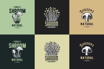 Mushroom set for organic, natural vegetarian food. Collection of autumn fungi, shroom mushroom picking for t-shirt print