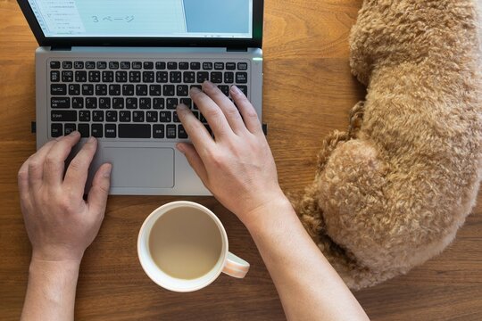 愛犬をなでリラックスしながらノートパソコンで作業する在宅勤務（テレワーク、リモートワーク）