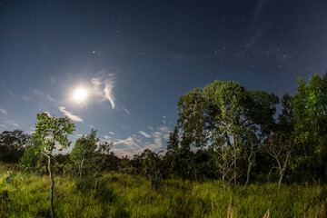Fototapeta na wymiar Céu estrelado com Lua cheia na Chapada dos Guimarães no Mato Grosso, Brasil