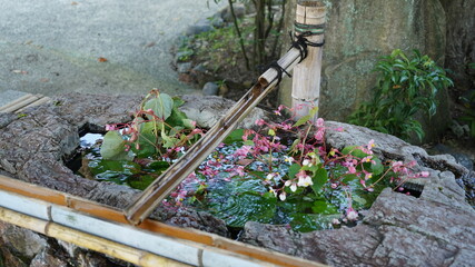 岡山県倉敷市美観地区　阿智神社