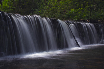 Fototapeta premium waterfall in the woods