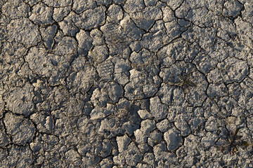 Beautiful texture of Gray soil with cracks is outside in summer