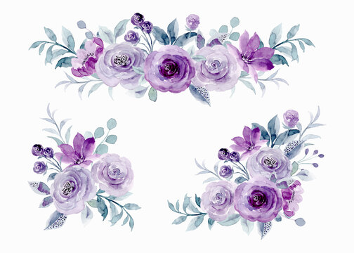 Purple rose flower arrangement collection with watercolor