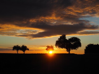 Sunset between the trees