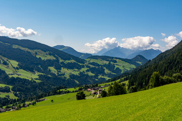 Alpine meadow in the Tyrolian Alps in Austria on a sunny summer say