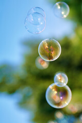 Beautiful soap bubbles background on a sunny day. A lot of bubbles in the air. Blurred background....