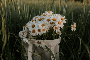 A bag with a bouquet of daisies is in the field. A bouquet of daisies is in a white cloth bag.