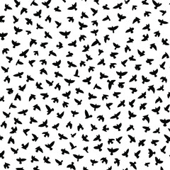 Fototapeta na wymiar Black birds background. Vector illustration. 