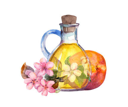 Essential oil of peach in glass bottle with fruit and pink flowers. Watercolor