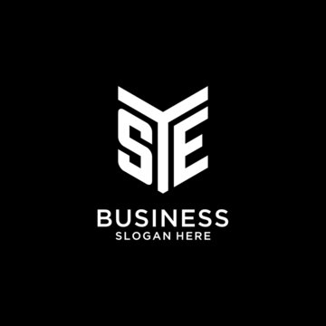 SE mirror initial logo, creative bold monogram initial design style
