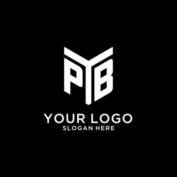 PB mirror initial logo, creative bold monogram initial design style
