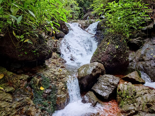 Waterfall over rocks between green plants and leaves in the wild stream