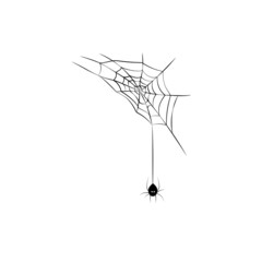 Spider and cobweb background. The scary of the halloween symbol Isolated on white. Flat vector illustration, isolated objects.