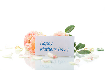 bouquet of beautiful roses isolated on white