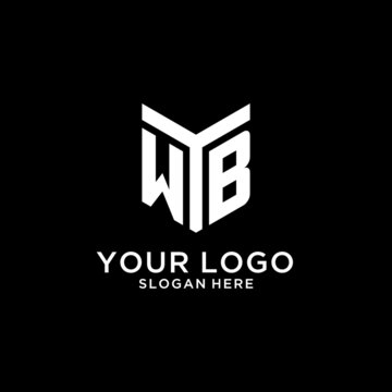 WB mirror initial logo, creative bold monogram initial design style