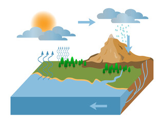 the water cycle illustration infographic. vector esp10