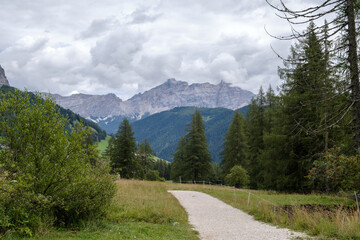 Fototapeta premium Alta Badia (Dolomiti) - August: Beautiful summer mountain view of Passo Sella and high peak Sassopiatto and Sassolungo, Langkofel, Dolomiti, Sella group. Green meadows and pastures, alpine dolomites
