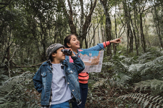 Ethnic children with paper guide and binoculars exploring forest