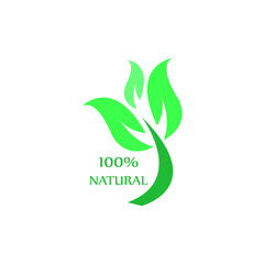 Natural leaf icon. 100% naturals vector image