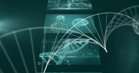 Image of dna spinning and screens with medical data processing