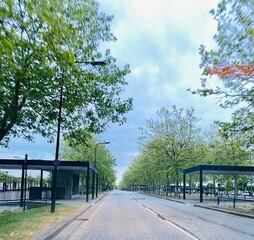 road in the park