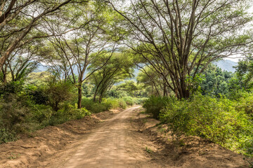 Parc du Lac Manyara