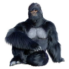 3D Rendering Black Gorilla Ape on White