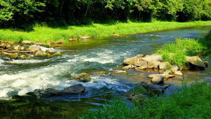 schöner Fluss Nagold fließt sprudelnd durch grünes Tal im Schwarzwald mit grüner Wiese - obrazy, fototapety, plakaty
