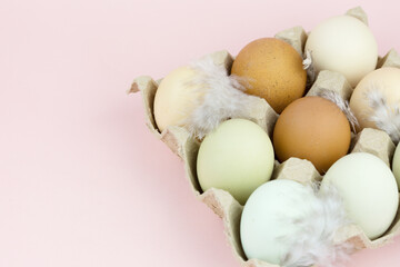 Multi-colored eggs in a paper box. Farming egg