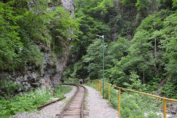 Гуамское ущелье, в верховьях реки Курджипс.