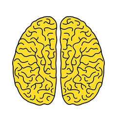 Fototapeta premium two hemispheres of the human brain in a linear style. flat icon of the brain. vector illustration