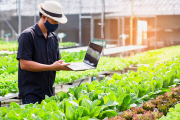 Organic radishes on farms that meet quality standards