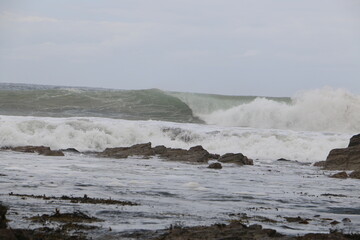 west coast highlands scenery and nature