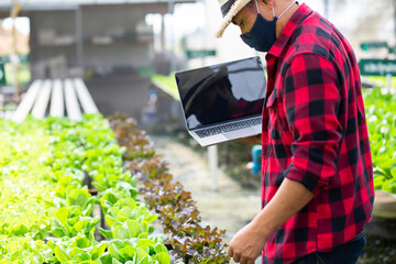 Organic radishes on farms that meet quality standards