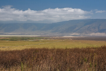 Cratère du Ngorongoro