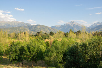 rocky mountains, clouds and trees