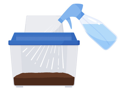 4 7 Best Terrarium Vector Images Stock Photos Vectors Adobe Stock