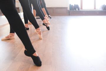 Fototapeta premium The elegant legs of ballet dancers standing in a row on their toes