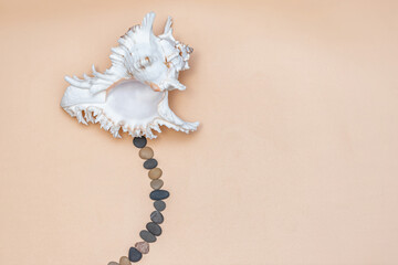 Concept : dreams of a trip to the sea coast