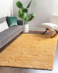 Modern geometric living area interior room rug texture design