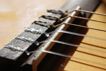 acoustic guitar close up