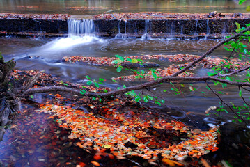Fototapeta na wymiar Small waterfall and fallen autumn leaves in a river