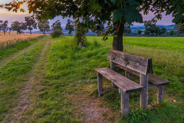 Summer evening near Roprachtice village under Krkonose mountains with settle