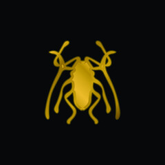 Beetle Insect Trictenotomidae gold plated metalic icon or logo vector