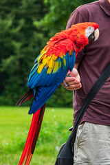Vogelpark Walsrode © LegusPic